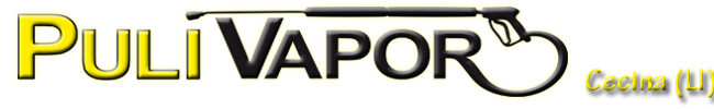 pulivapor logo